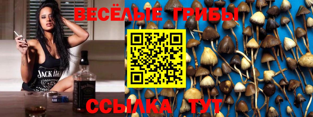 Псилоцибиновые грибы Psilocybine cubensis  Галлюциногенные грибы Magic Shrooms  Златоуст  Вход с VPN 